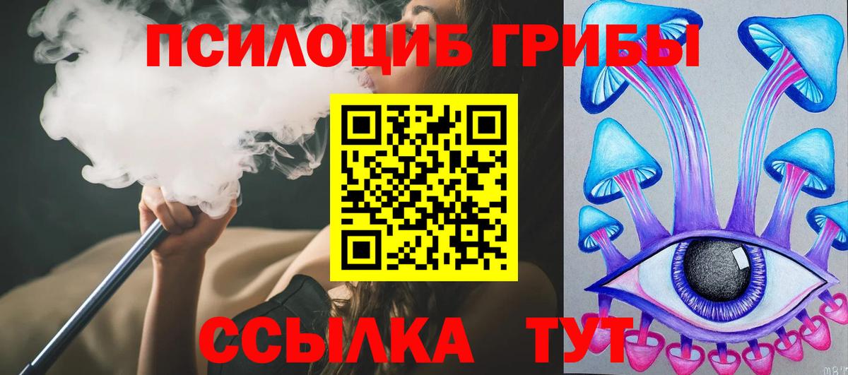 Алатырь  Псилоцибиновые грибы Psilocybe  сколько стоит  Вход с VPN 