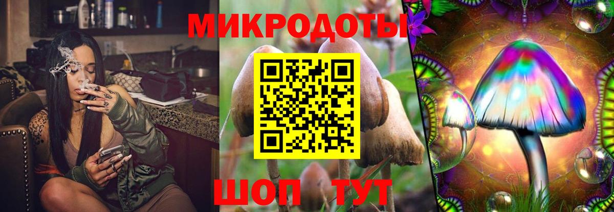 Галлюциногенные грибы MAGIC MUSHROOMS Алатырь